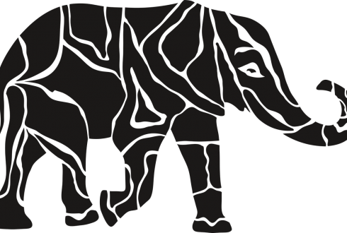 Black Elephants and Black Swans